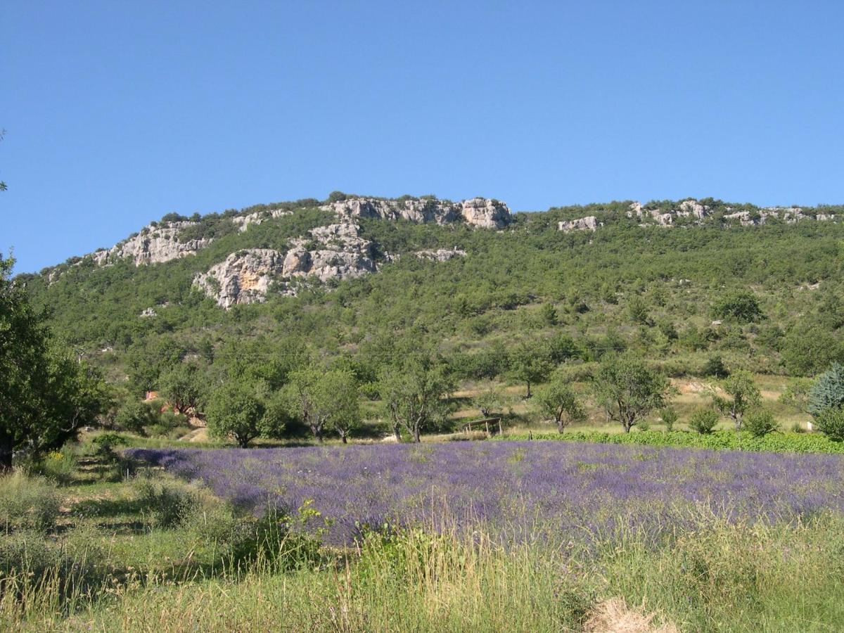 Domaine De Bois Joli Buis-les-Baronnies Exterior foto